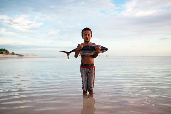 La tasa actual de pérdida de biodiversidad, estimada entre 100 y 1.000 veces superior a lo que sería natural, pone en peligro el sustento y la calidad de vida de todas las personas. ¿Qué está pasando?