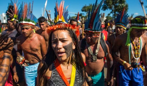 Los pueblos indígenas se enfrentan en Brasil a un Gobierno empeñado en arrebatarles sus derechos. Pero no están solos: el mundo les necesita. Sin ellos, la supervivencia del planeta pendería de un hilo.