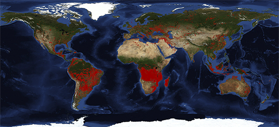 Los incendios forestales arrasan el planeta