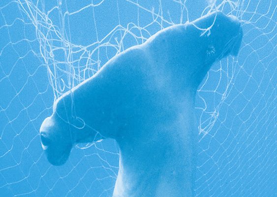 Redes fantasma una trampa mortal en el mar