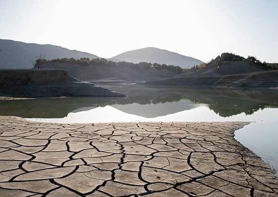 Sin agua