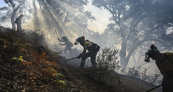 Bomberos Forestales removiendo la tierra tras el incendio