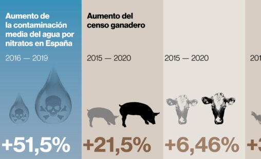 Imagen de: Aumenta la ganadería, aumenta la contaminación