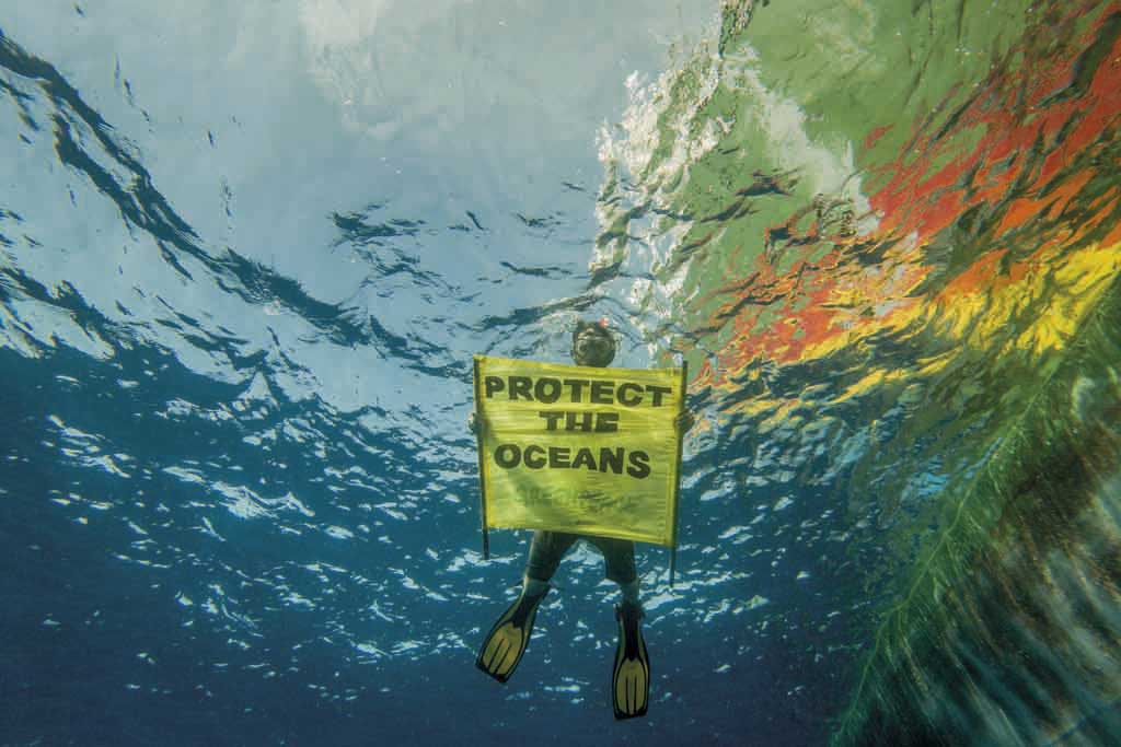 Un buzo sujeta una pantacarta bajo el mar. El texto de la pancarta dice: PROTECT THE OCEANS.