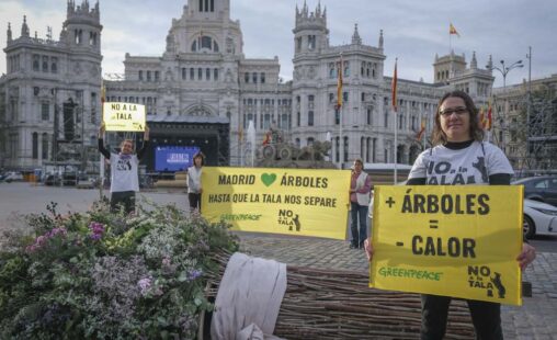 Imagen de: Todo al verde en las ciudades