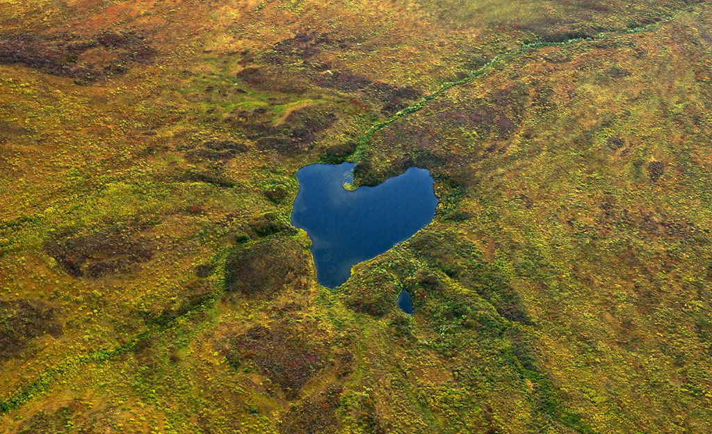 Vista aérea de una pradera, la tundra en Alaska. Agua en forma de corazón. Vista aérea de una pradera, la tundra en Alaska. Agua en forma de corazón.