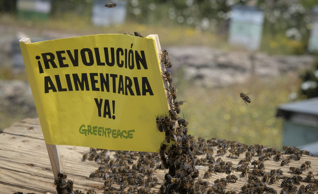 Un cartel en el que puede leerse REVOLUCIÓN ALIMENTARIA YA en un apiario entre abejas Un cartel en el que puede leerse REVOLUCIÓN ALIMENTARIA YA en un apiario entre abejas
