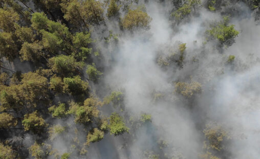Imagen de: Oro tóxico: la minería ilegal que envenena la Amazonía y el mundo