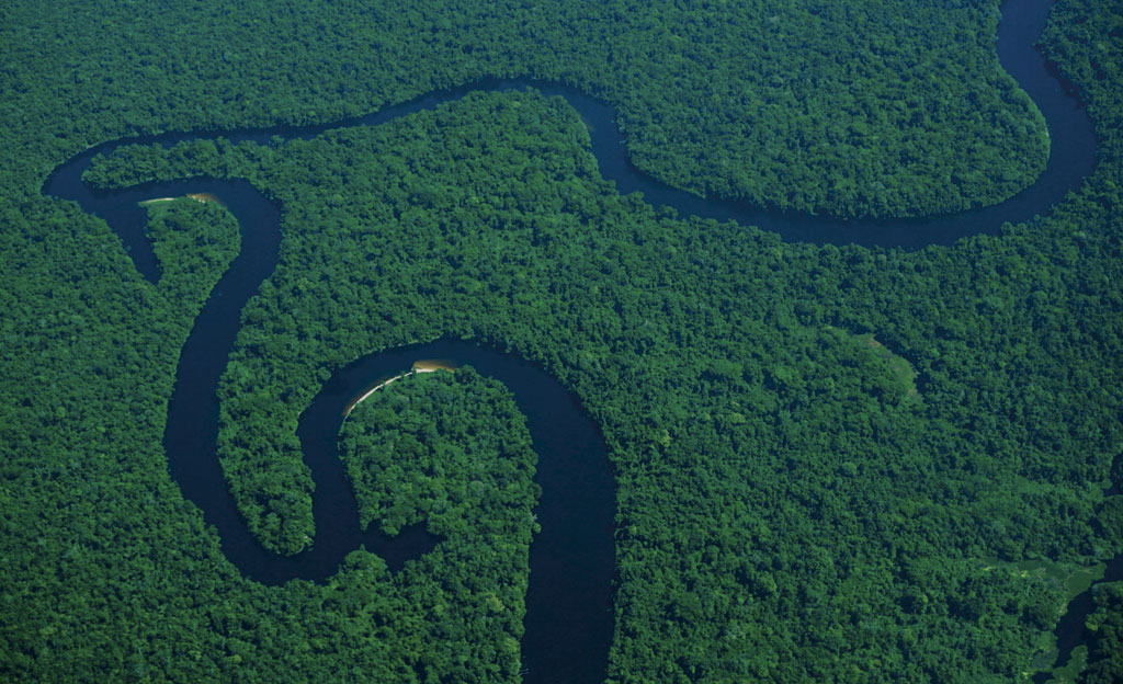 Vista aérea sobre la selva amazónica Vista aérea sobre la selva amazónicaLa cuenca del río Tapajós, junto a la tierra indígena Sawré Muybu, hogar del pueblo Munduruku