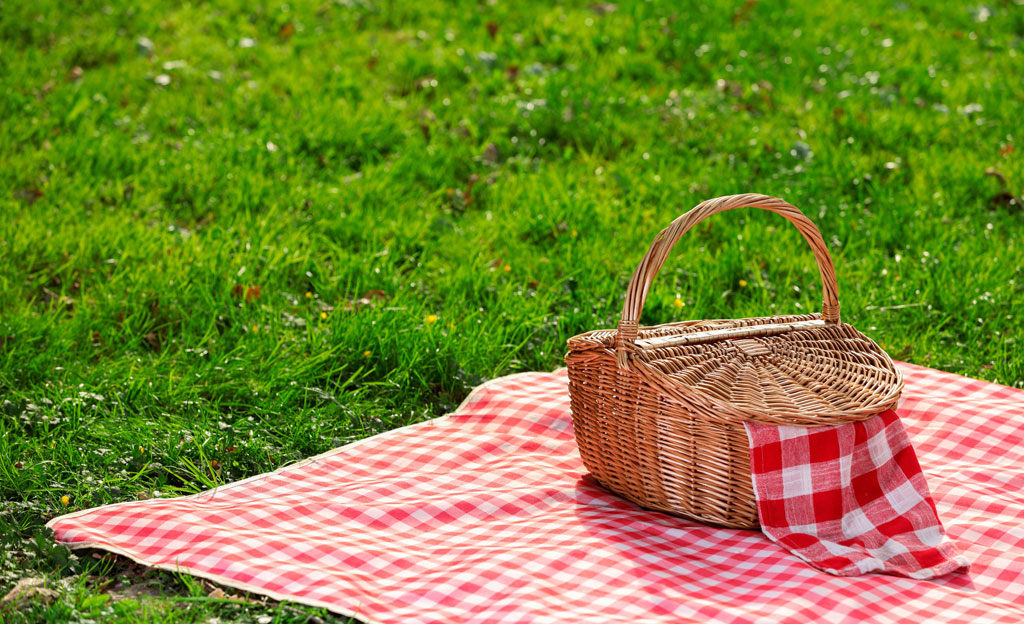 Una cesta de mimbre de picnic con servilleta a cuadros y manta sobre hierba verde