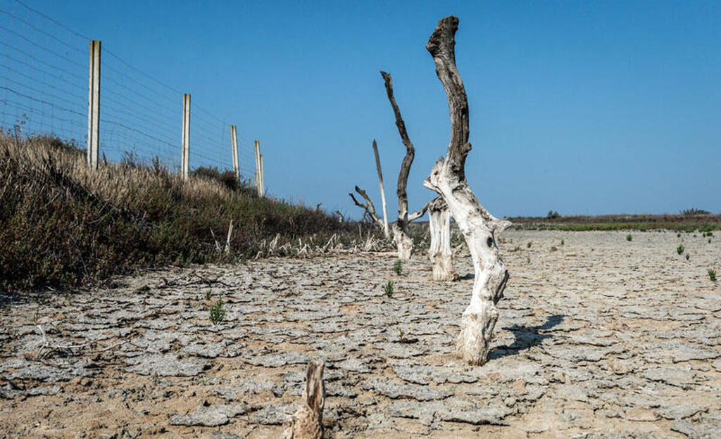 Arroyo de la Rocina en Almonte, Huelva, completamente seco debido a la sequía y el calor en el verano de 2023