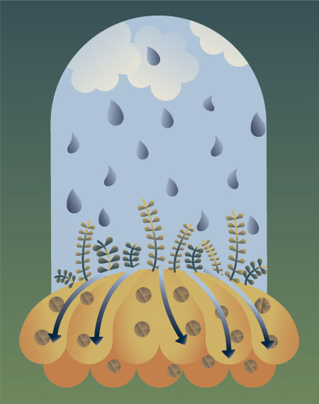 ilustracion que muestra la tierra antes del incendio En CONDICIONES NORMALES, la lluvia se filtra en el suelo y recarga los acuíferos