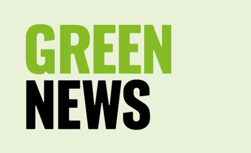 Imagen de: GREEN NEWS 52