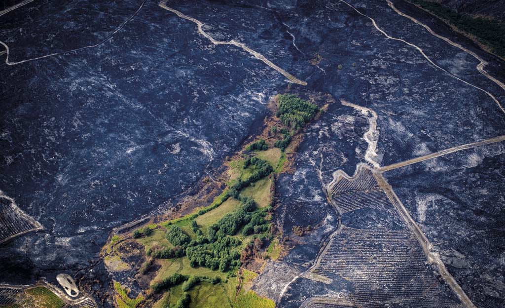 Consecuencias del incendio de Larouco, en la comarca de Seadur. Se trata del mayor incendio registrado en la historia de Galicia, que ha arrasado más de 30.000 hectáreas.