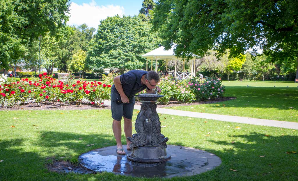 Hombre bebe agua en una fuente a la sombra en un parque público